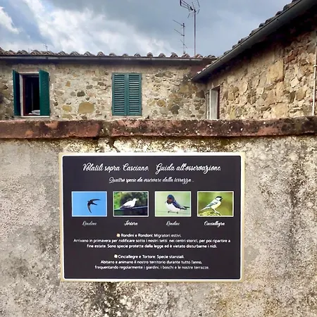 La Mansarda Di Casciano Murlo